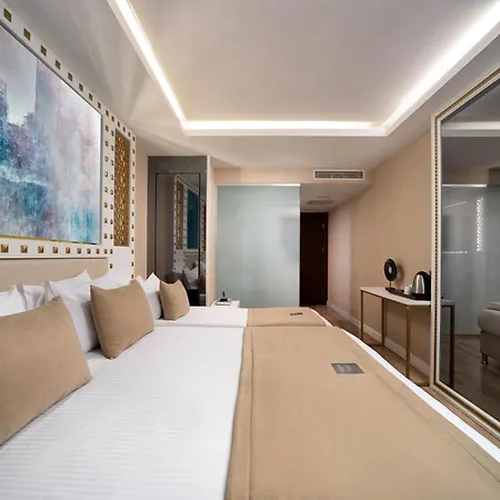 Hotel Goms Old Istanbul